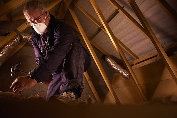 Best Home Insulation Services  in Raymond, WI